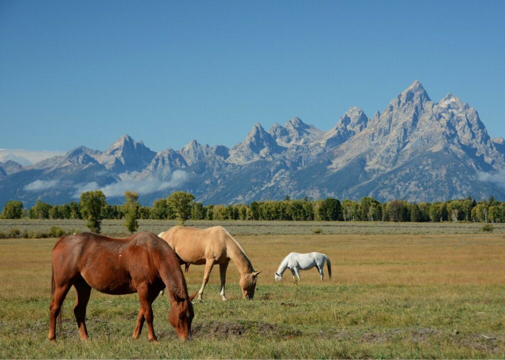 #39. Wyoming (tie)